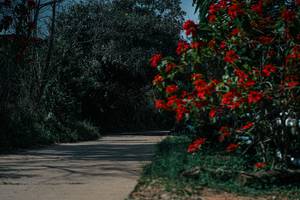 BIB: 
                            <button type="button" onclick="openModal(26139644)" class="btn btn-primary btn-sm float-right btn-popup" data-toggle="modal" data-target=".modal-high-quality">
                        <i class="fas fa-shopping-cart"></i> Add to Cart
                    </button>
                                            <button type="button" onclick="isThisMe(26139644, true)" class="btn btn-success btn-sm float-right btn-popup btn-isme hidden" data-toggle="tooltip" data-placement="bottom" title="นี่คือรูปของคุณใช่ไหม คลิกที่นี่เพื่อเอาเข้าอัลบั้ม">
                        <i class="fas fa-plus"></i> Add to album
                    </button>
                    <button type="button" onclick="isThisMe(26139644, false)" class="btn btn-warning btn-sm float-right btn-popup btn-isnotme hidden">
                        <i class="fas fa-ban"></i> Remove from album
                    </button>